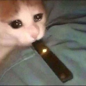 Meet your Posher, Austin